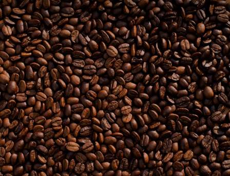 12 Surprising Coffee Facts Every Enthusiast Should Know