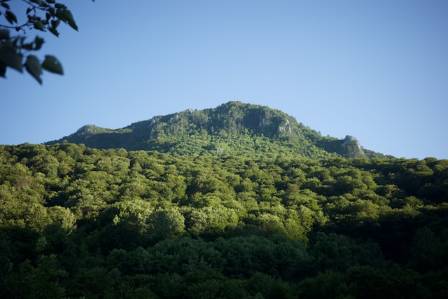 9 Most Beautiful Forests for Hiking