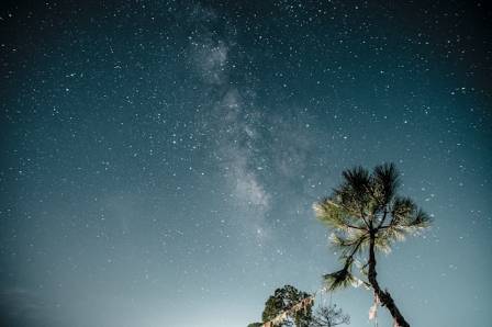 11 Essential Tips for Night Sky Photography