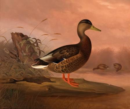 How to Paint an Animal (or Anything Else)